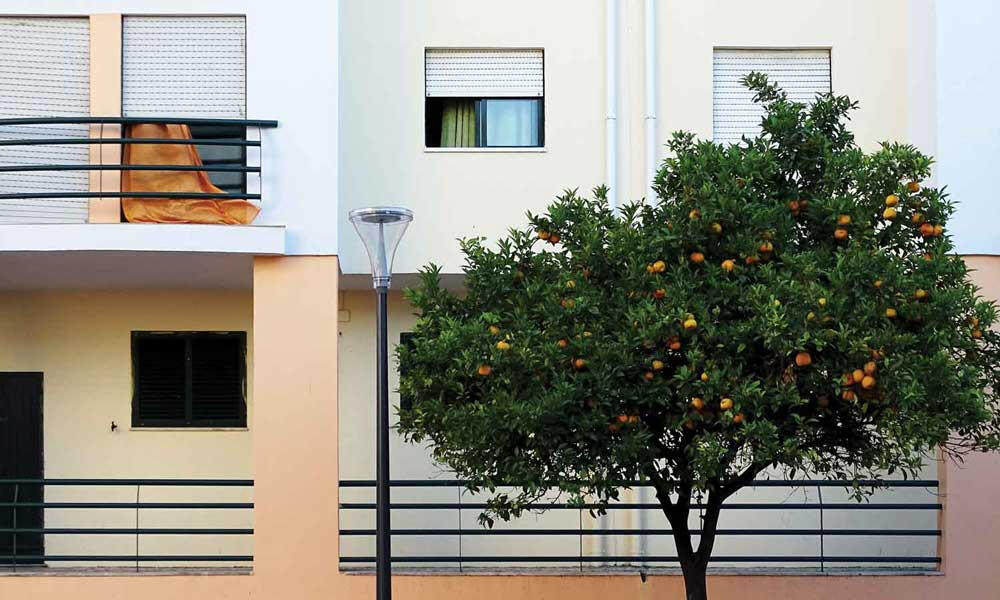 Urban orchard, Lisbon - the Muita Fruita initiative connects developers and public innovation to create city-centre growing spaces for fruit and vegetables.