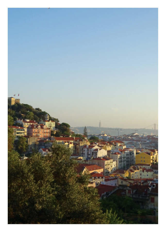 A skyline shaped by the natural world: Lisbon's buildings nestled between the hills, river and trees.