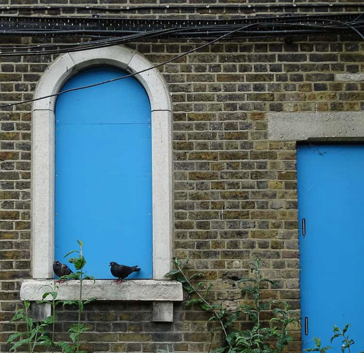 Derelict buildings, London -pigeons overlook the overgrowth, as the space reclaims its place in urban ecology. Derelict buildings, London -pigeons overlook the overgrowth, as the space reclaims its place in urban ecology.